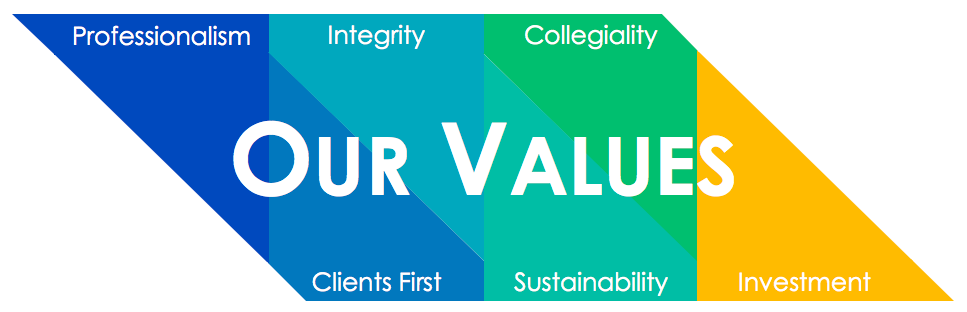 values - new version